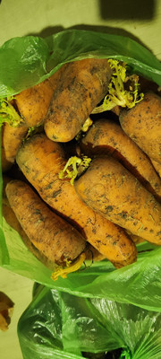 Фото №1 class=