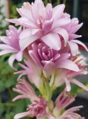 Фото №1 class=