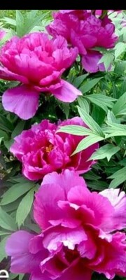 Фото №1 class=