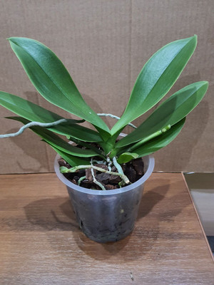 Фото №1 class=