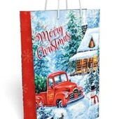 Подарунковий пакет 35*25*9см