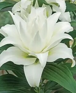 Фото №1 class=