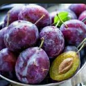 слива простячка