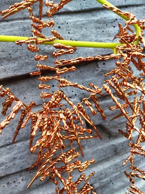 Фото №1 class=