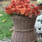 Кашпо для квітів