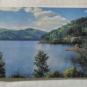 Календарик СРСР 1981