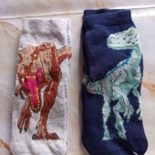 Шкарпетки на 2-3р.