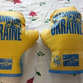 боксерські перчатки одним лотом