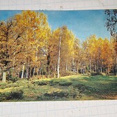 Календарик СРСР 1981