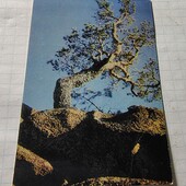 Календарик СРСР 1978