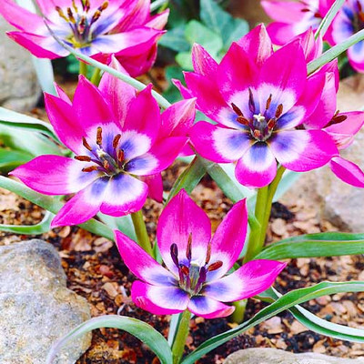 Фото №1 class=