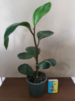 Фото №1 class=