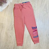 Дитячі теплі спортивні штани-джогери на флісі 110/116 см lupilu