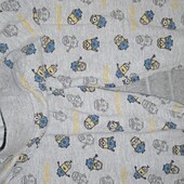Штаны, джогеры despicable me minions