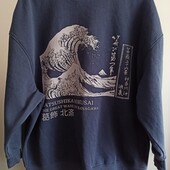 Свитшот теплый трикотаж с начесом,в идеале.