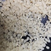 Рис круглий крупа лот 1.8 кг