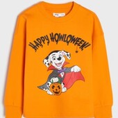 Світшот.начос.синсей.розмір 116,122