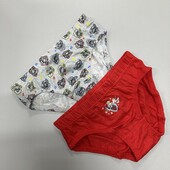 563. Труси / сліпи для хлопчика 2 шт 5/6, 116