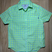 Сорочка Next 5-6 років, нова