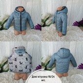 Курка демі на 1-2 роки + кофта флісова червона в подарунок