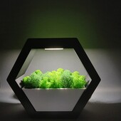 Світильник кашпо зі стабілізованим мохом