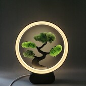 Світильник зі стабілізованим мохом