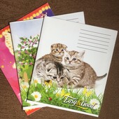 Зошити в косу лінійку - 3 шт