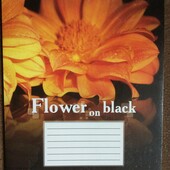 Зошит в клітинку 36 аркушів