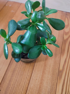 Фото №1 class=