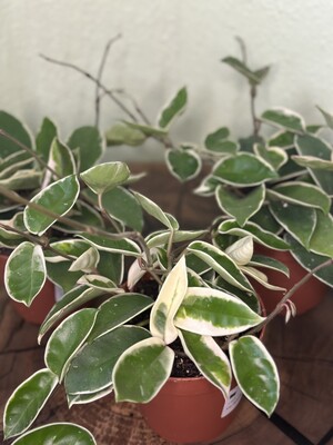 Фото №1 class=