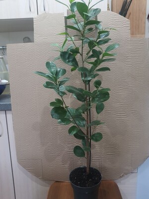 Фото №1 class=