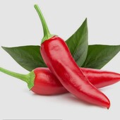 Гіркий перець Чилі, 10 насінин