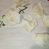 Штучні квіти Next брак