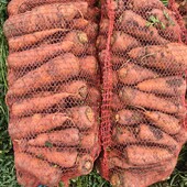 Морква домашня, лот 3 кг