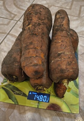 Фото №1 class=