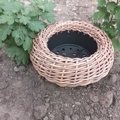 Підвісне кашпо для квітів.