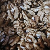 Веусненькая бабочка этого года