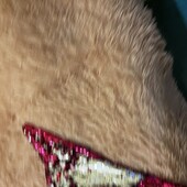 Плойка для волосся 3в1 гофре праска стайлер