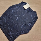 С&А! Трикотажний реглан для хлопчика 110 зріст! Лот 17