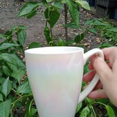 Перламутровая порцеляновая чашка(360 мл)