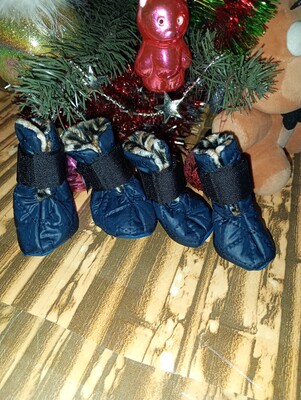 Фото №1 class=