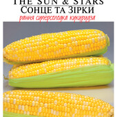 Солодка кукурудза Сонце та зірки, дуже солодка 10 грам