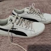 жіночі класичні кросівки розмір 40 по стелькі 25 см