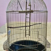 Золота клітка
