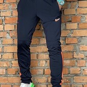 Чоловічі і підліткові спортивні штани демі