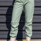 Штани фліс екошкіра