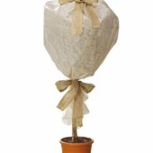 Захисне покриття parkside для рослин від морозу та шкідників (80×500 см)