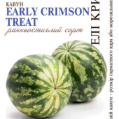Кавун Елі Крімсон Тріт. 20 шт. Ранньостиглий, солодкий.