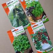 Лот Кімнатний сад (огірок, томати, петрушка, базилік)