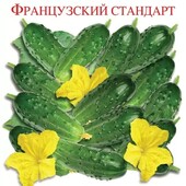 Огірок Французький стандарт. Ідеальний засол.